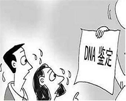 拉萨妇保院可以做亲子鉴定吗，拉萨医院办理DNA鉴定办理流程