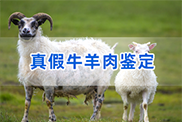 拉萨羊类动物鉴定